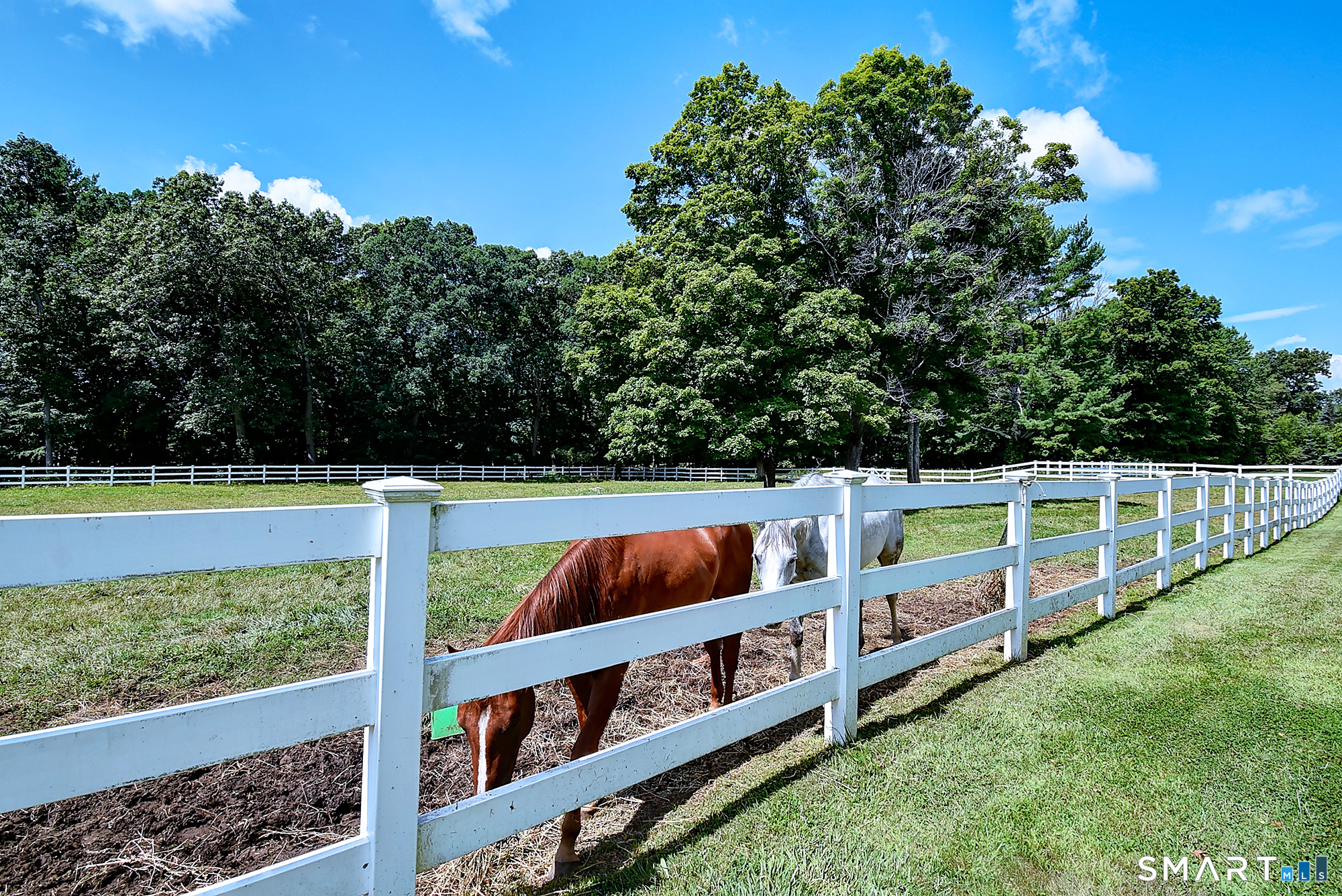 56 Old Farms Road Willington CT 06279