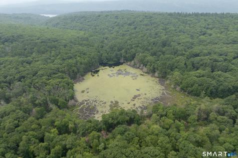 13 Woodridge Drive Barkhamsted CT 06063