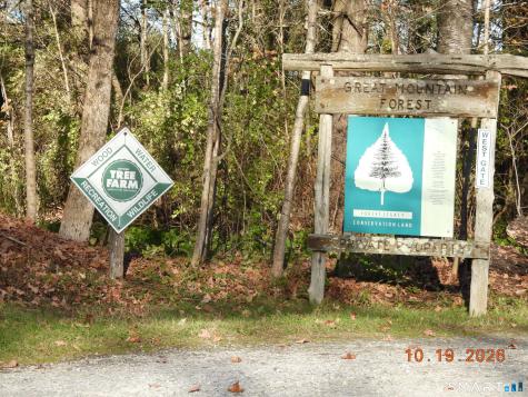 Canaan CT 06031