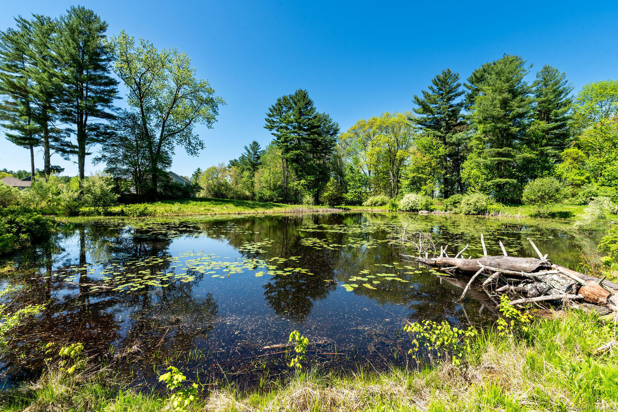 23 Brookside Drive Killingly CT 06241