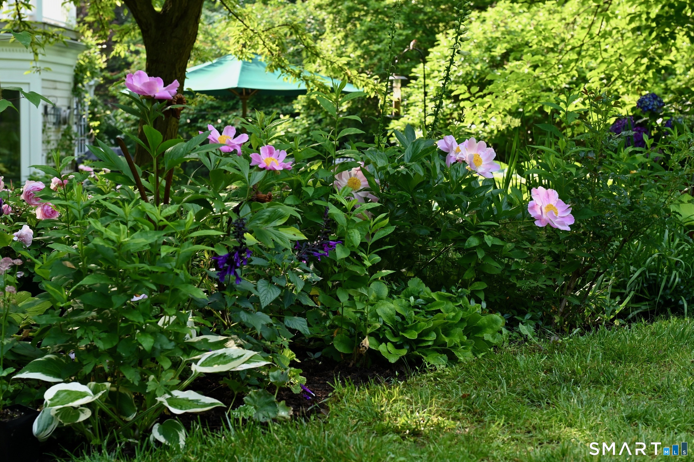 85 Bittersweet Lane New Canaan CT 06840