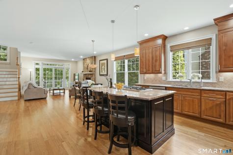 2 Blue Mountain Court Norwalk CT 06851