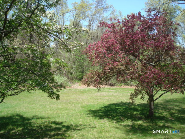 375 Olde Stage Road Glastonbury CT 06033