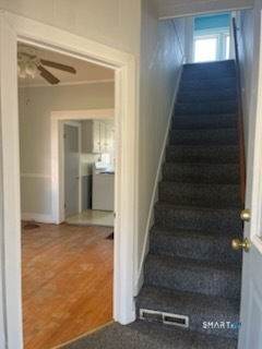 230 Westfield Avenue Ansonia CT 06401