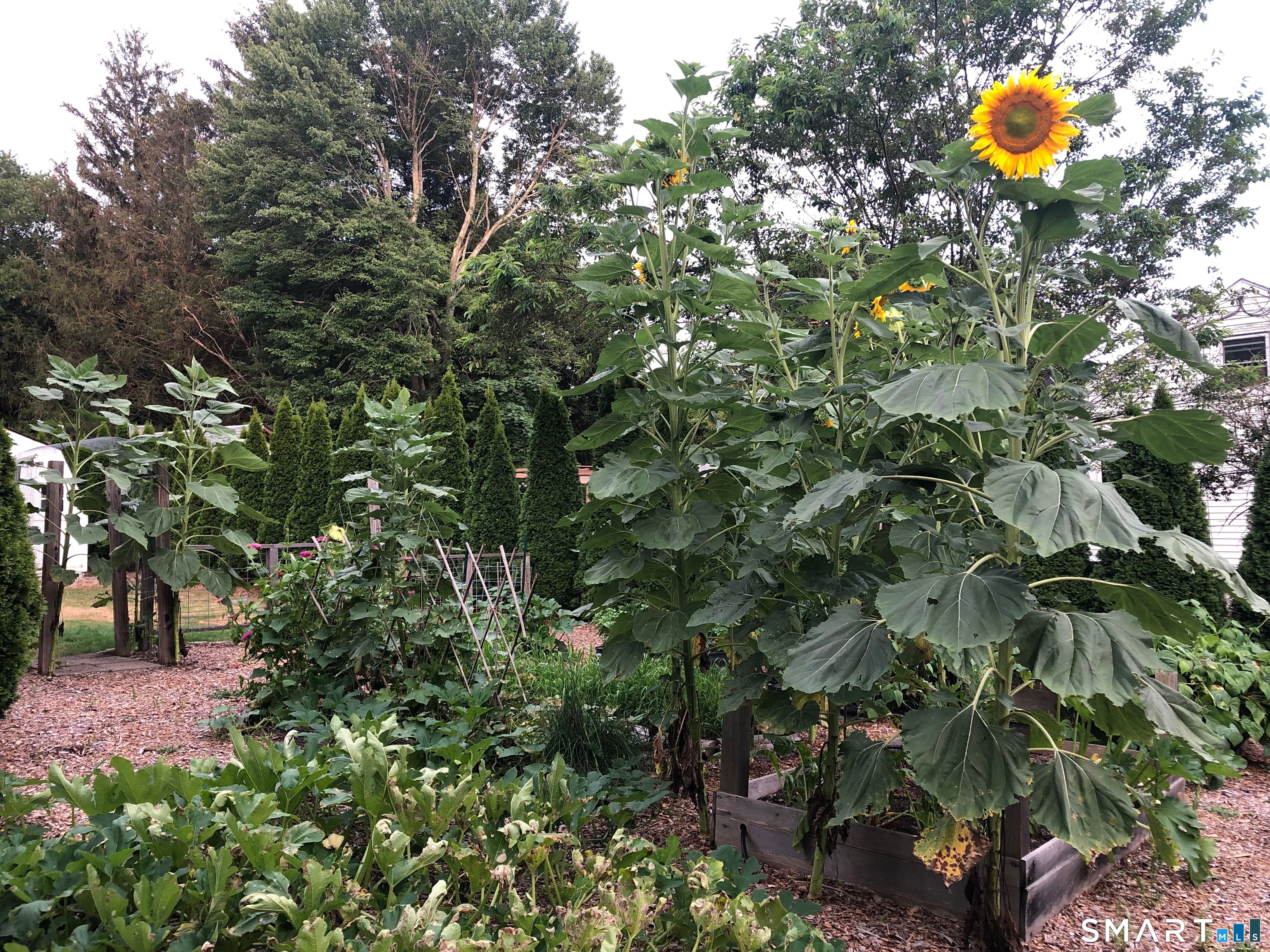 34 Hurd Bridge Road Clinton CT 06413