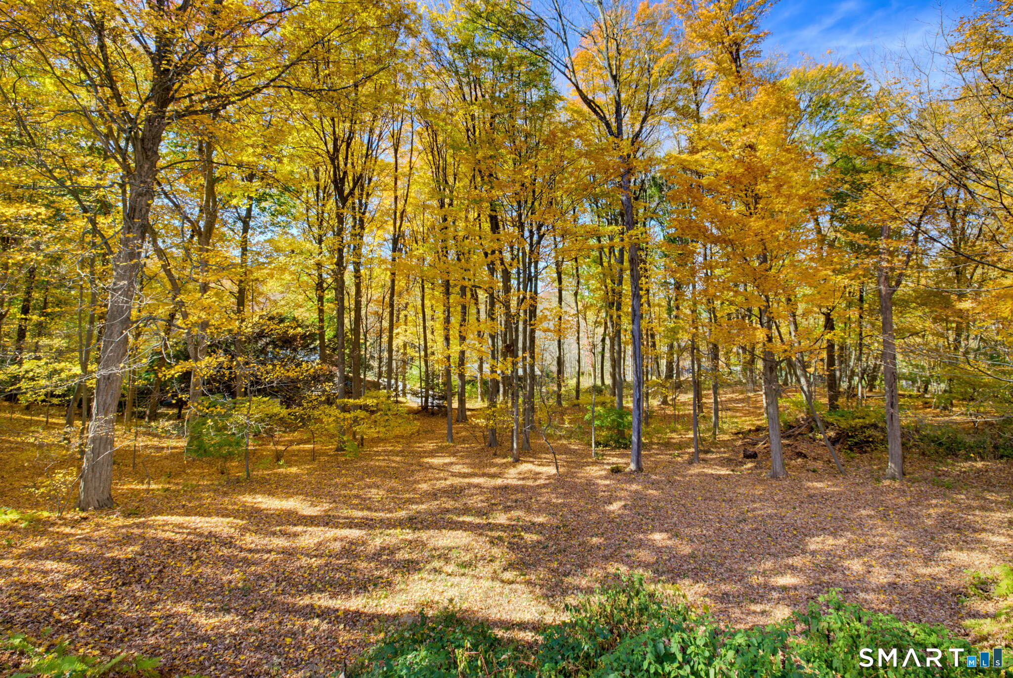 37 Tallwood Drive Vernon CT 06066