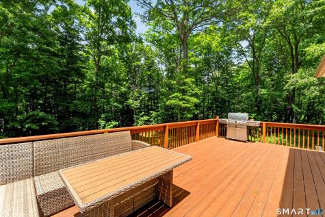 14 Deerfield Drive Newtown CT 06482