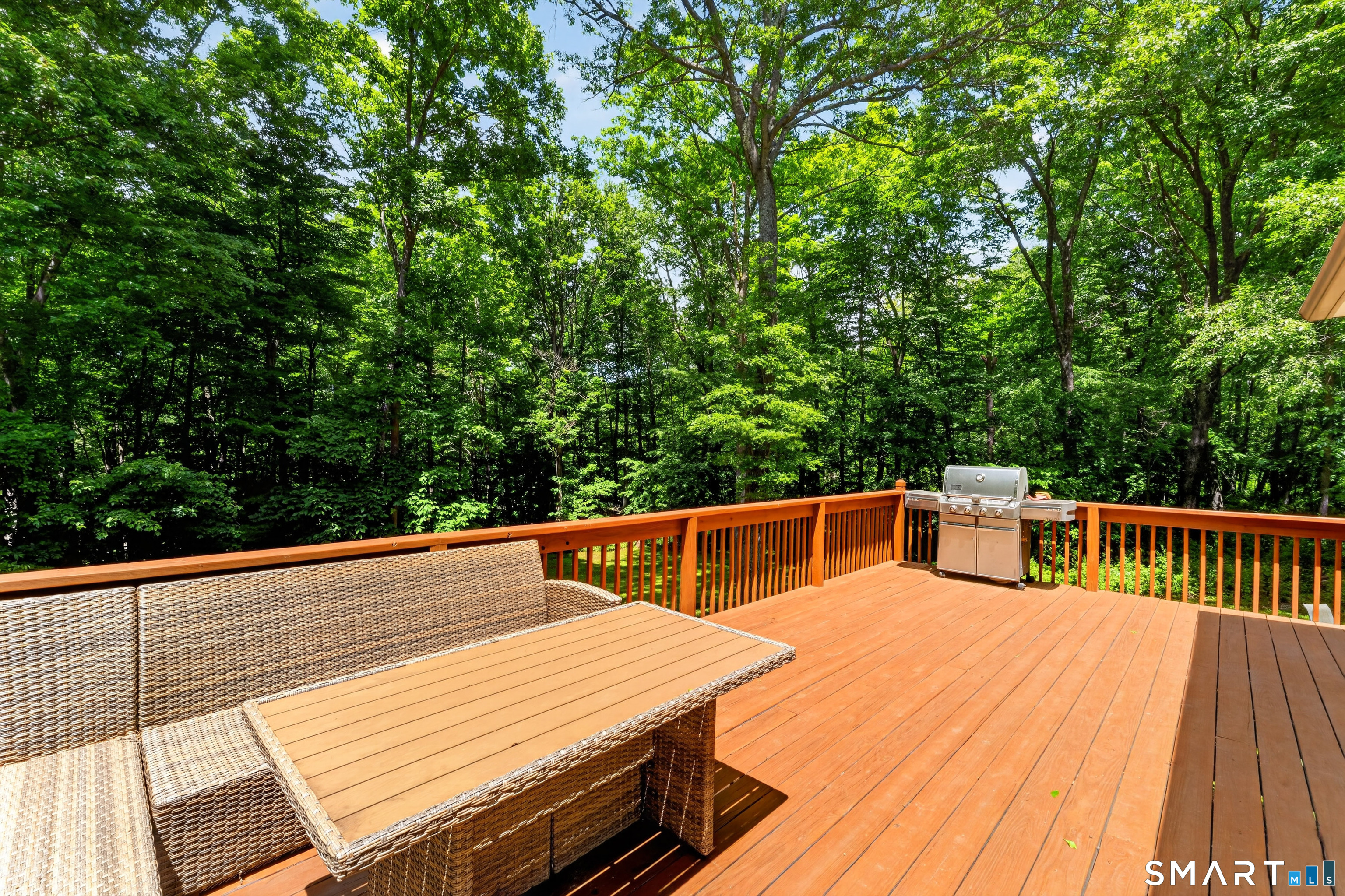14 Deerfield Drive Newtown CT 06482