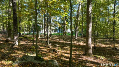 11 Syleo Lane Salem CT 06420