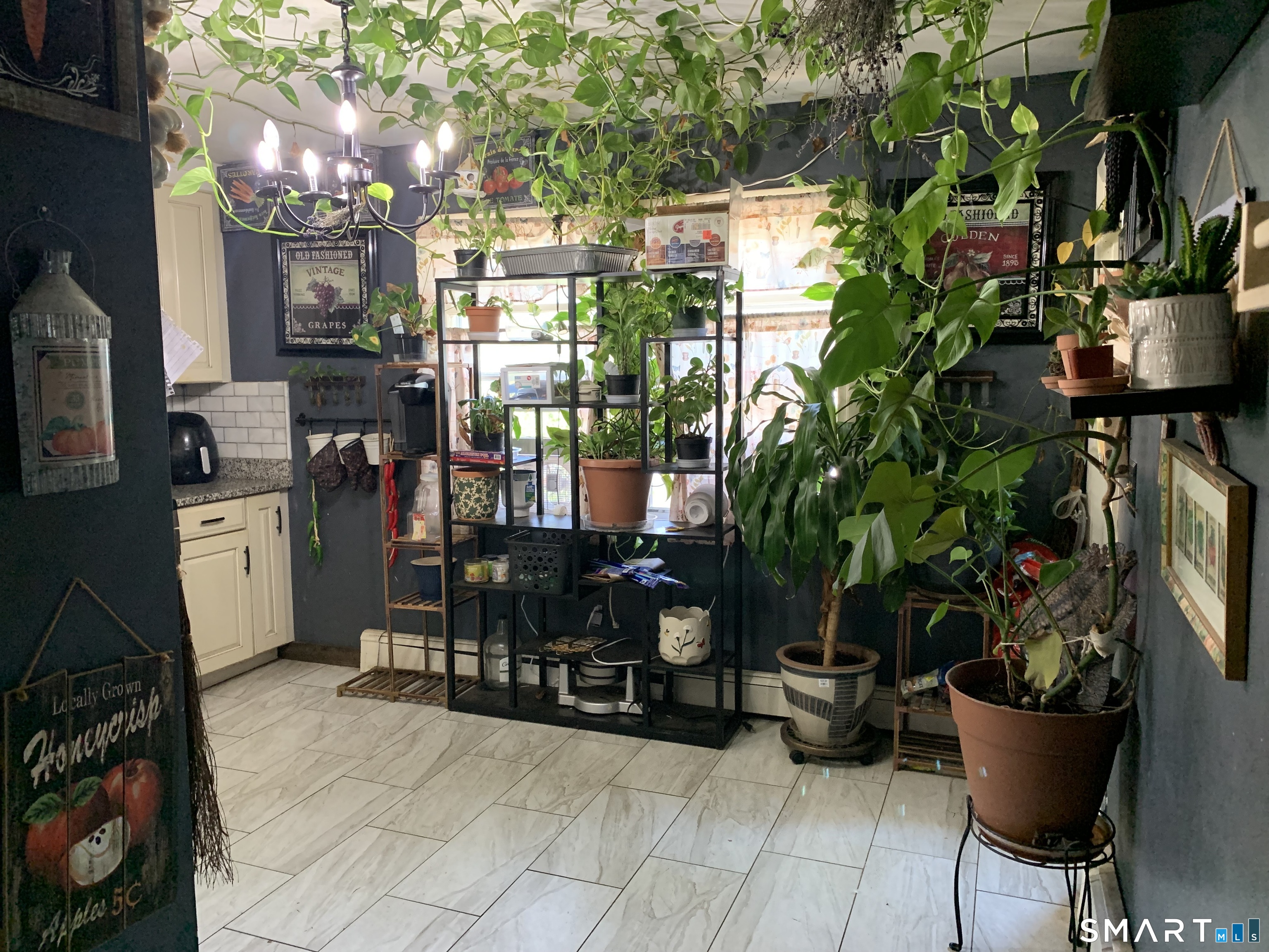 14 Bassett Street Ansonia CT 06401