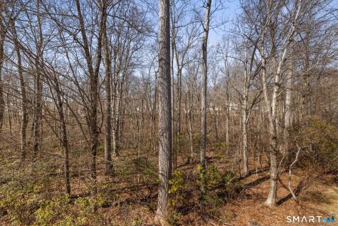 8 North Ridge East Hampton CT 06424