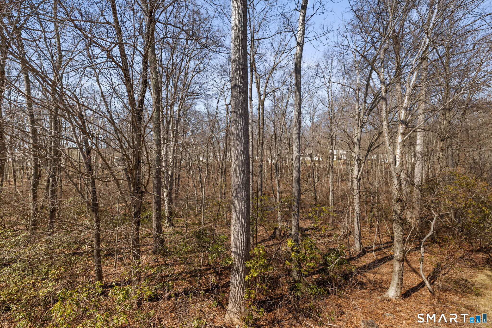 8 North Ridge East Hampton CT 06424