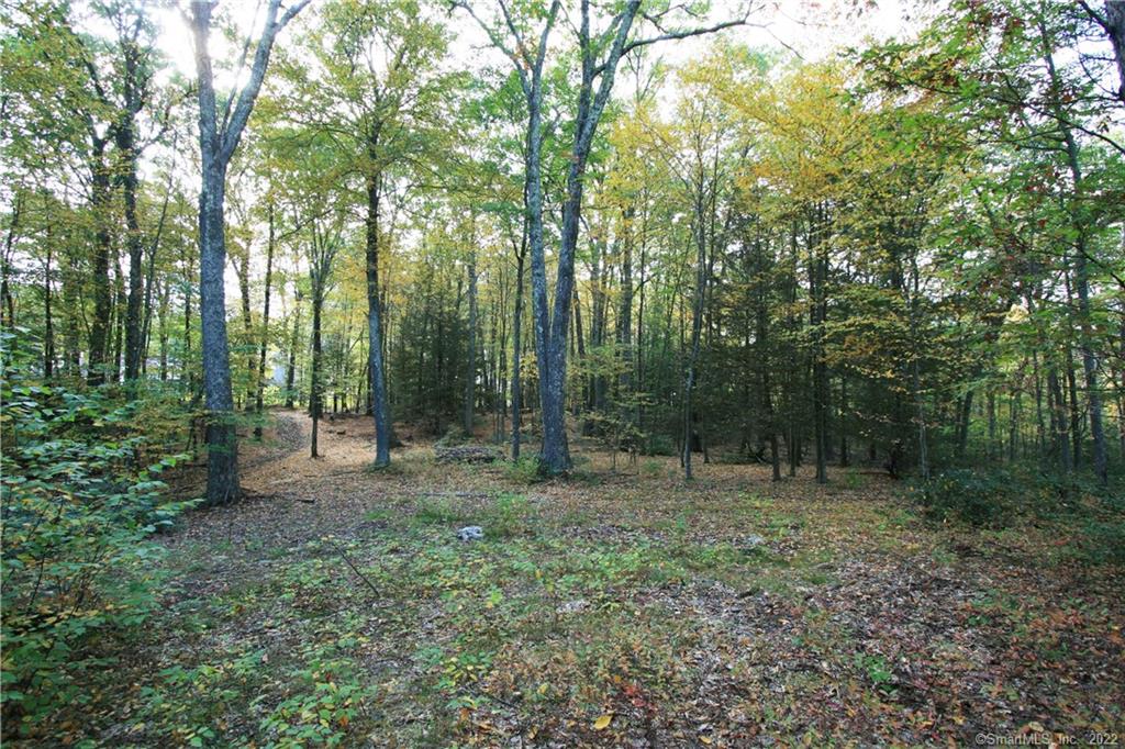 114 Daniel Trace Burlington CT 06013