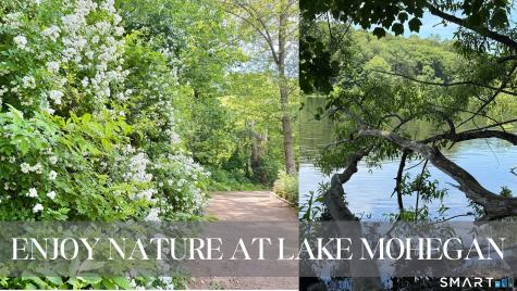 120 Saddle View Road Fairfield CT 06825