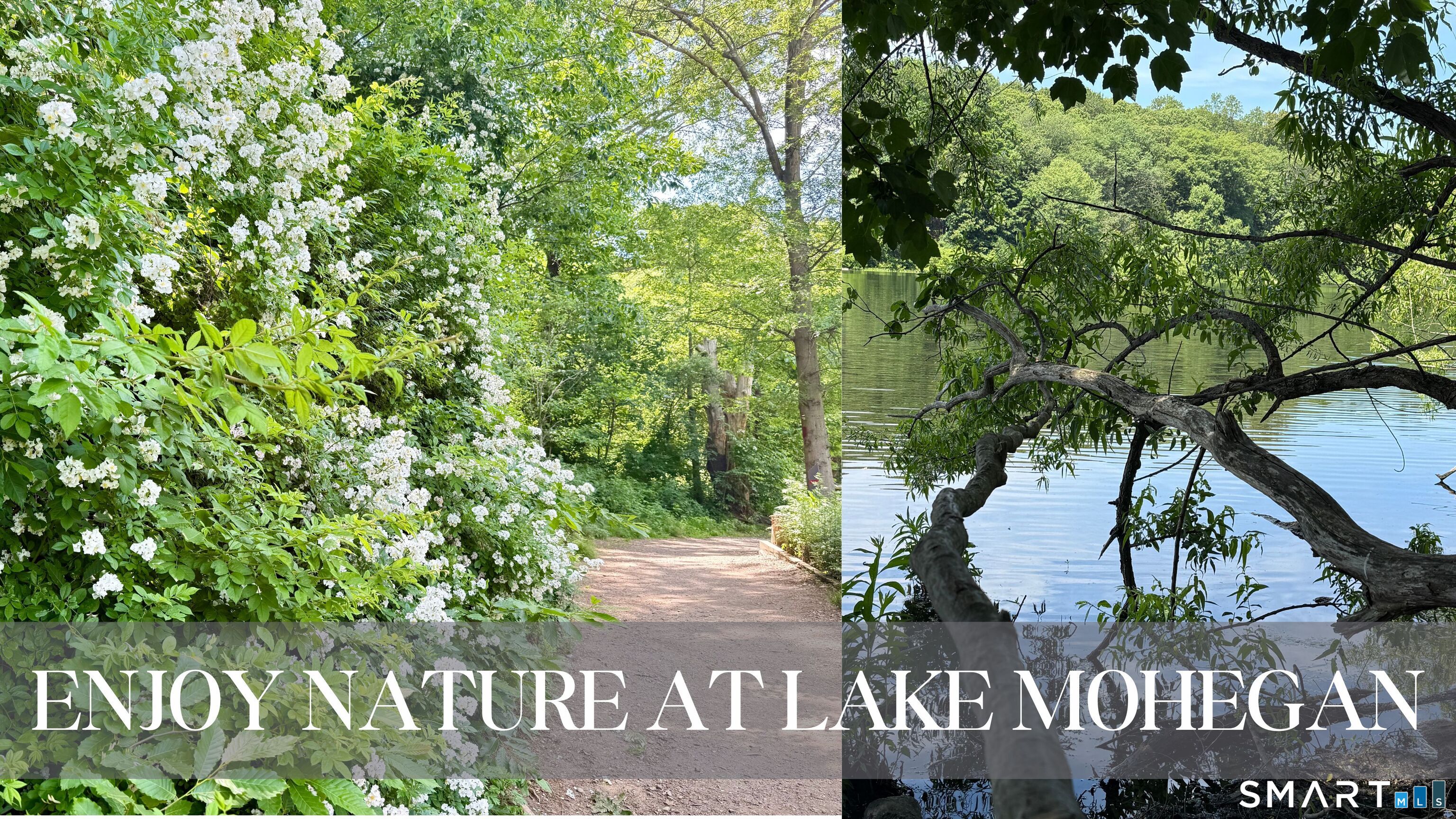 120 Saddle View Road Fairfield CT 06825