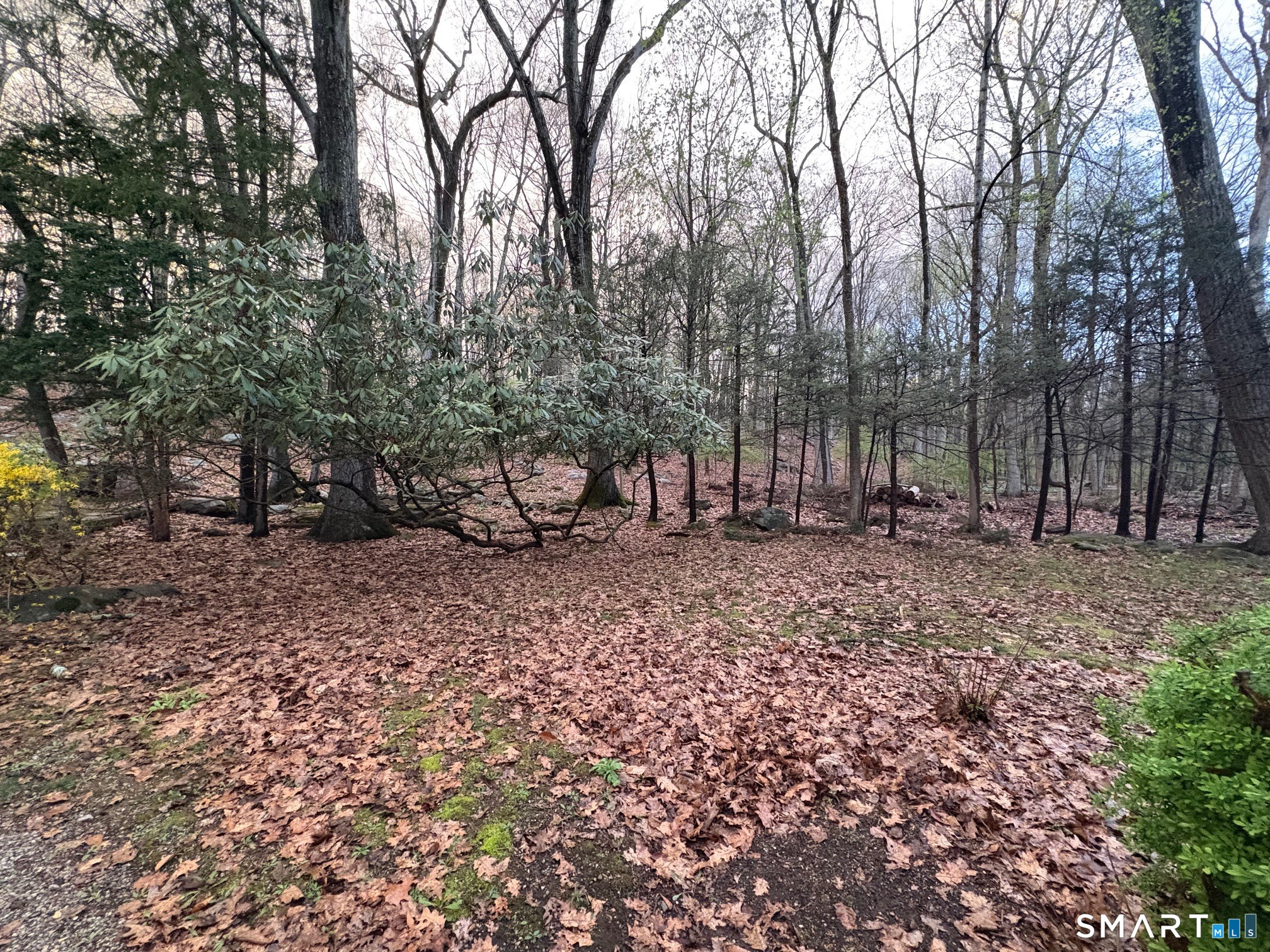74 Raymond Lane Wilton CT 06897