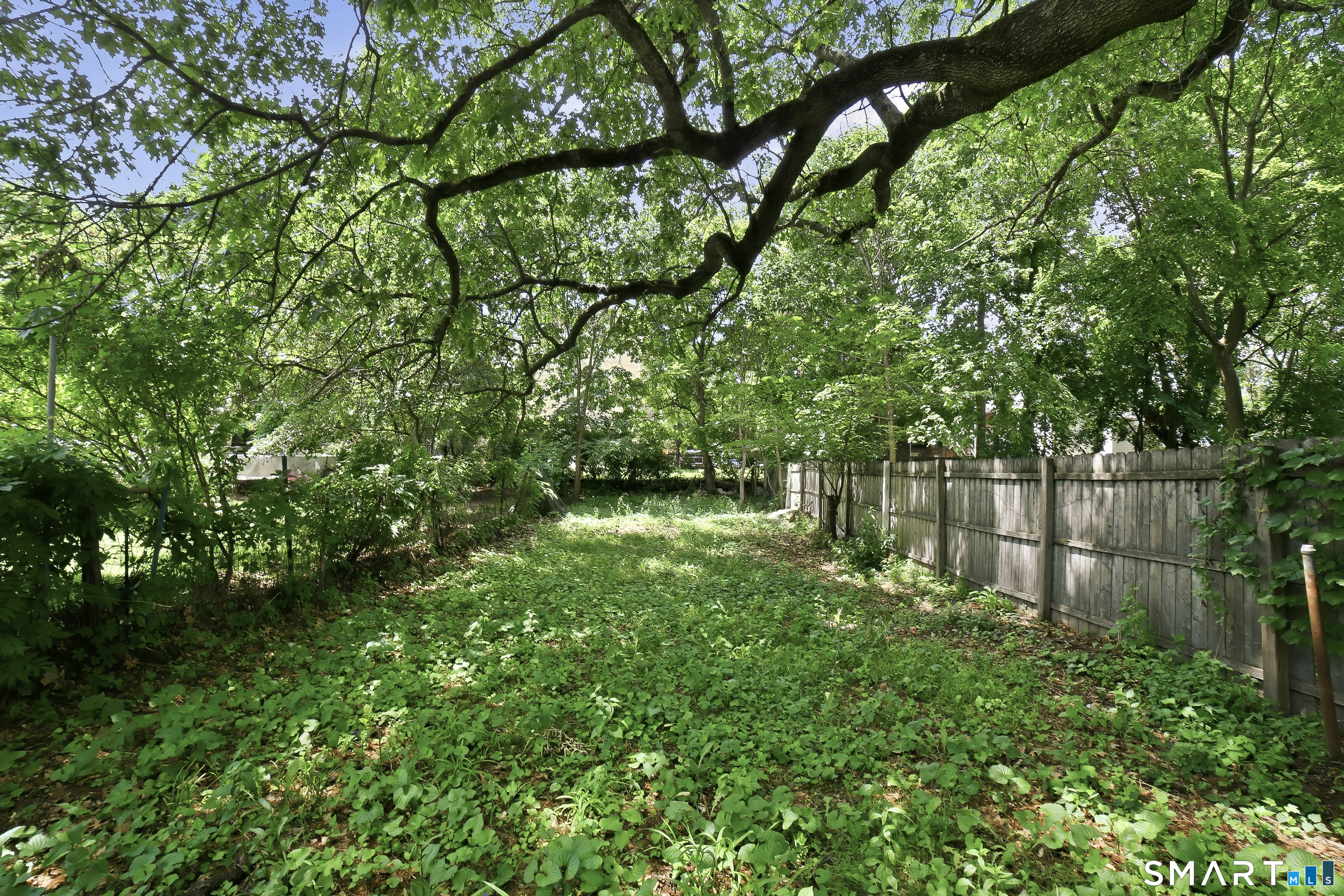 448 Orchard Street New Haven CT 06511