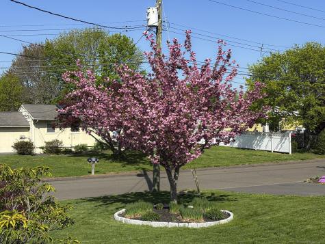 103 Pleasant View Road Derby CT 06418