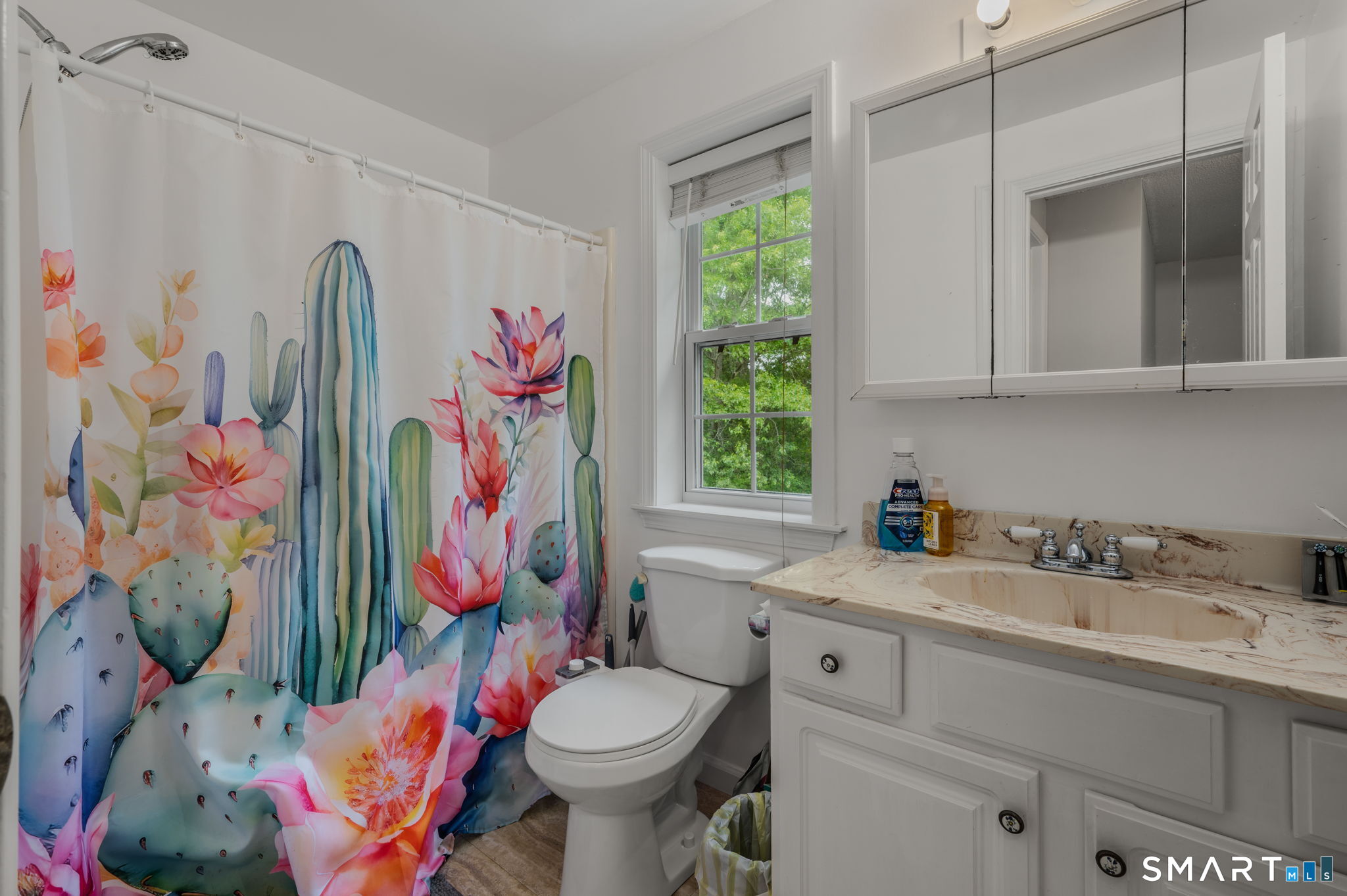 43 Hilltop Drive Windham CT 06256