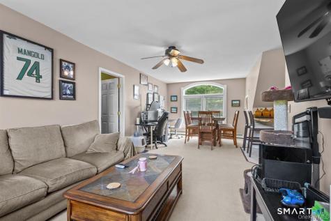 5 Mccarthy Road Beekman NY 12531