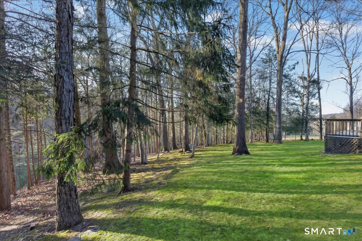 166 Thoreau Drive Shelton CT 06484