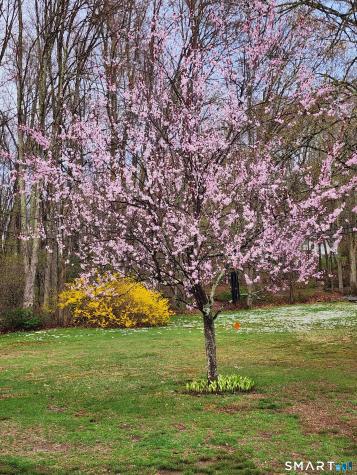312 Gehring Road Tolland CT 06084