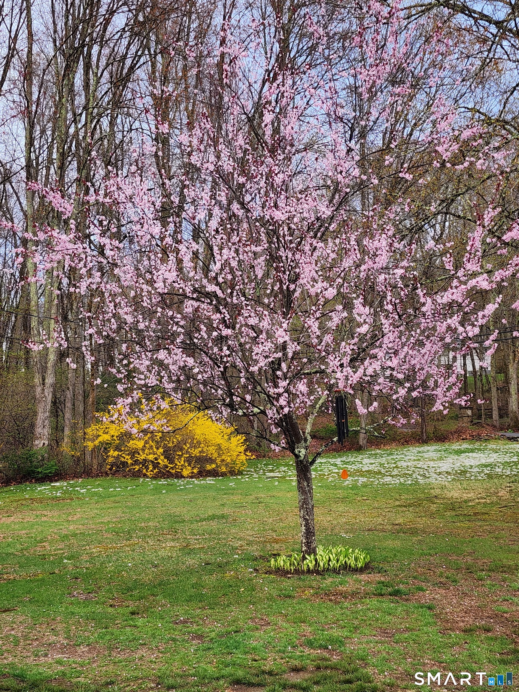 312 Gehring Road Tolland CT 06084