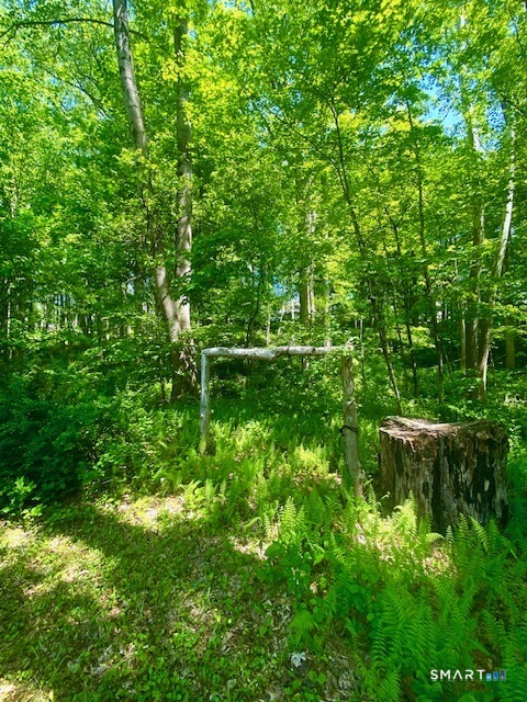 19 Moodus Leesville Road East Haddam CT 06469
