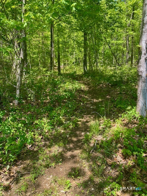19 Moodus Leesville Road East Haddam CT 06469