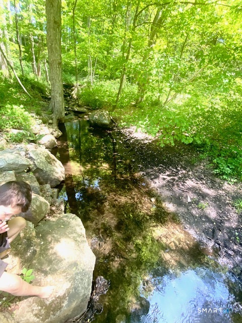 19 Moodus Leesville Road East Haddam CT 06469