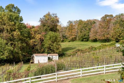 5 Elys Ferry Road Lyme CT 06371