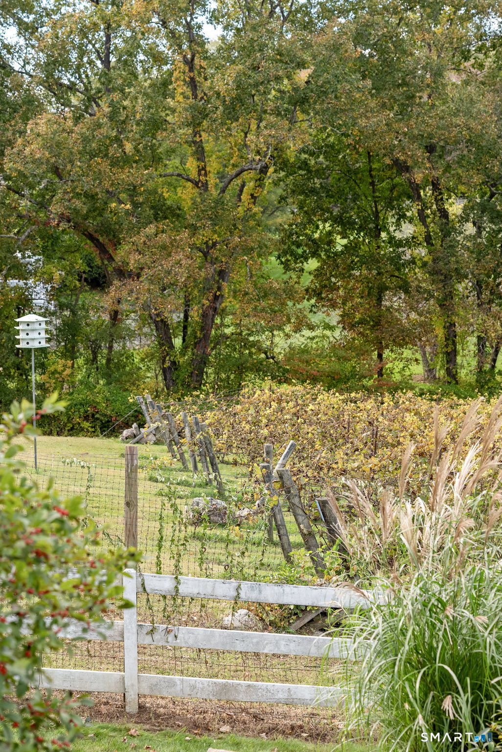 5 Elys Ferry Road Lyme CT 06371