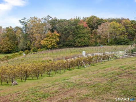 5 Elys Ferry Road Lyme CT 06371