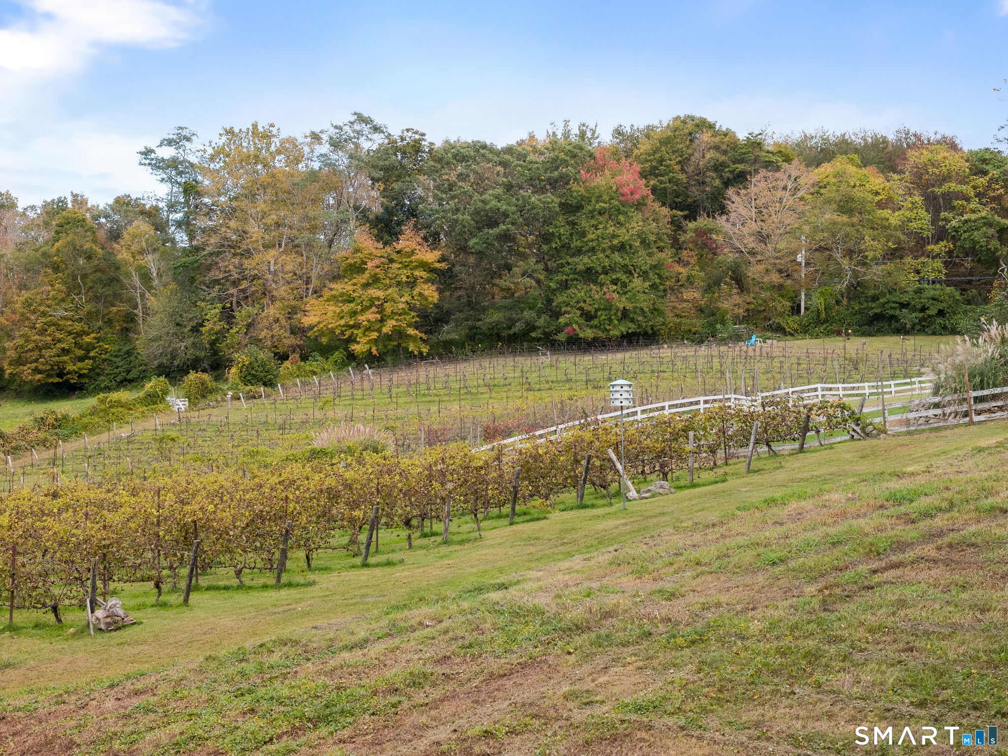 5 Elys Ferry Road Lyme CT 06371