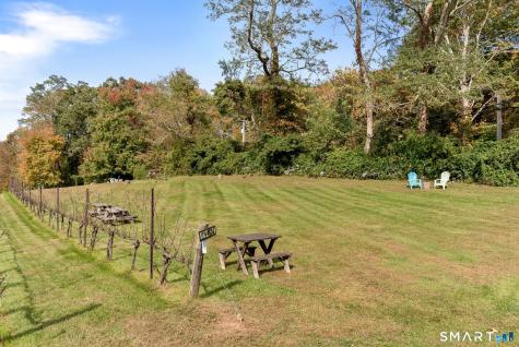 5 Elys Ferry Road Lyme CT 06371