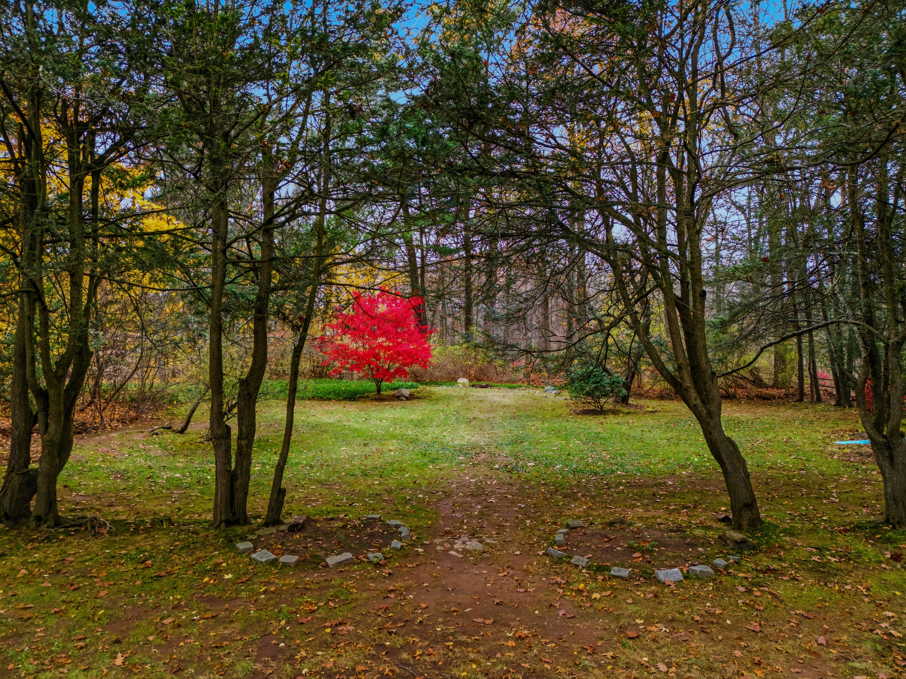 55 Sunny Reach Drive West Hartford CT 06117