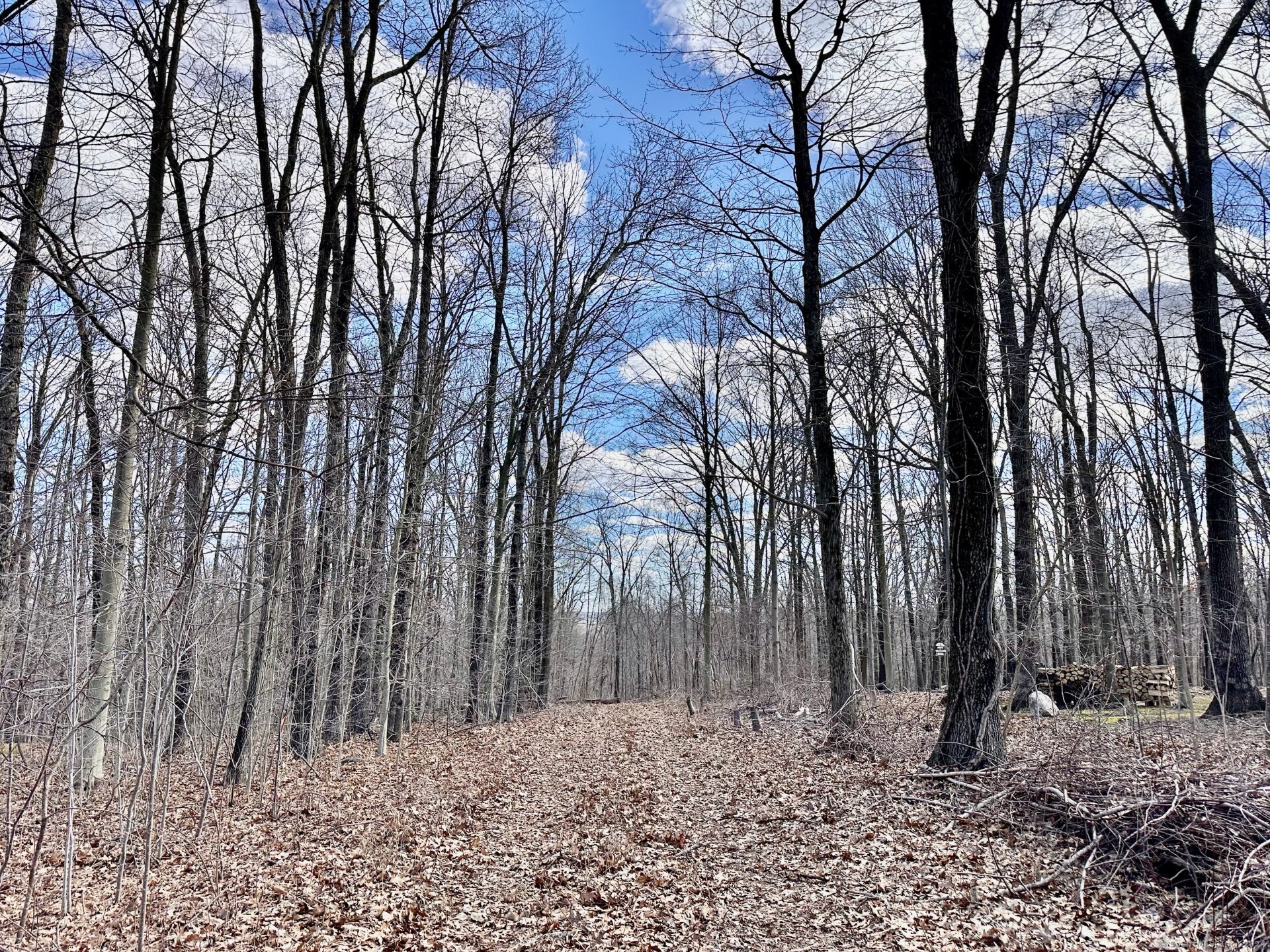 22 Grandview Drive Lebanon CT 06249