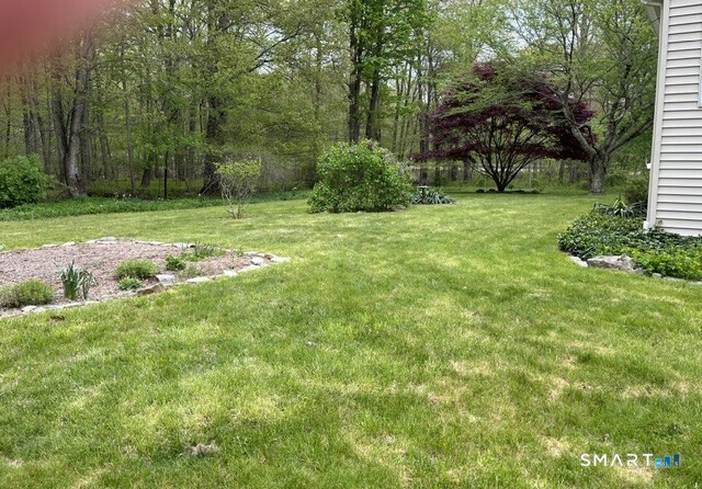 Madison CT 06443
