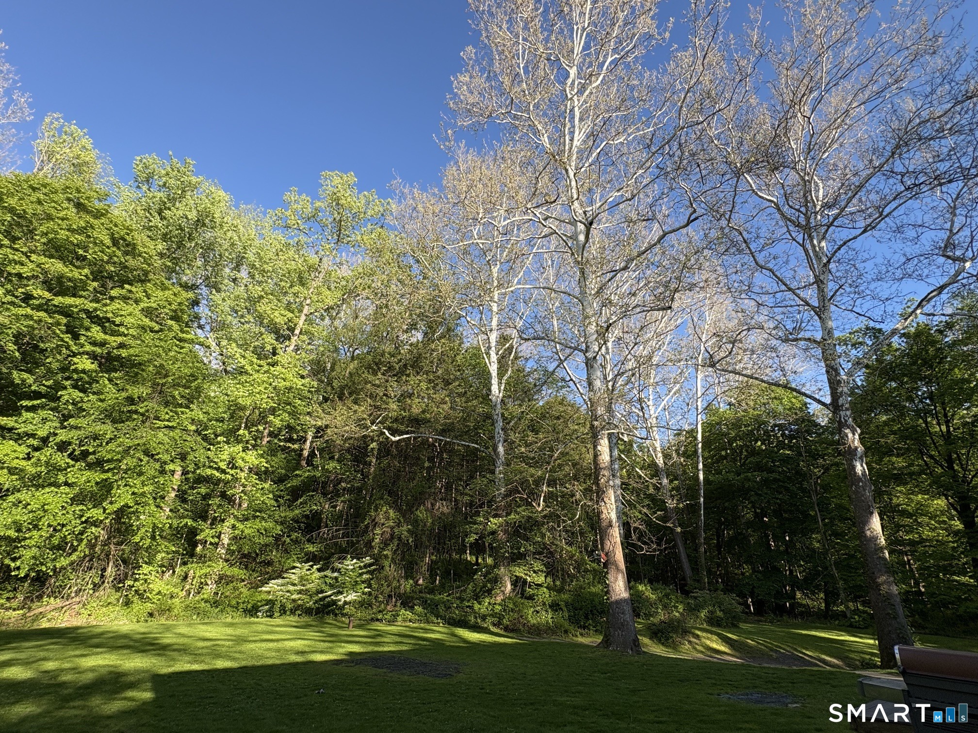 301 Grove Street New Milford CT 06776