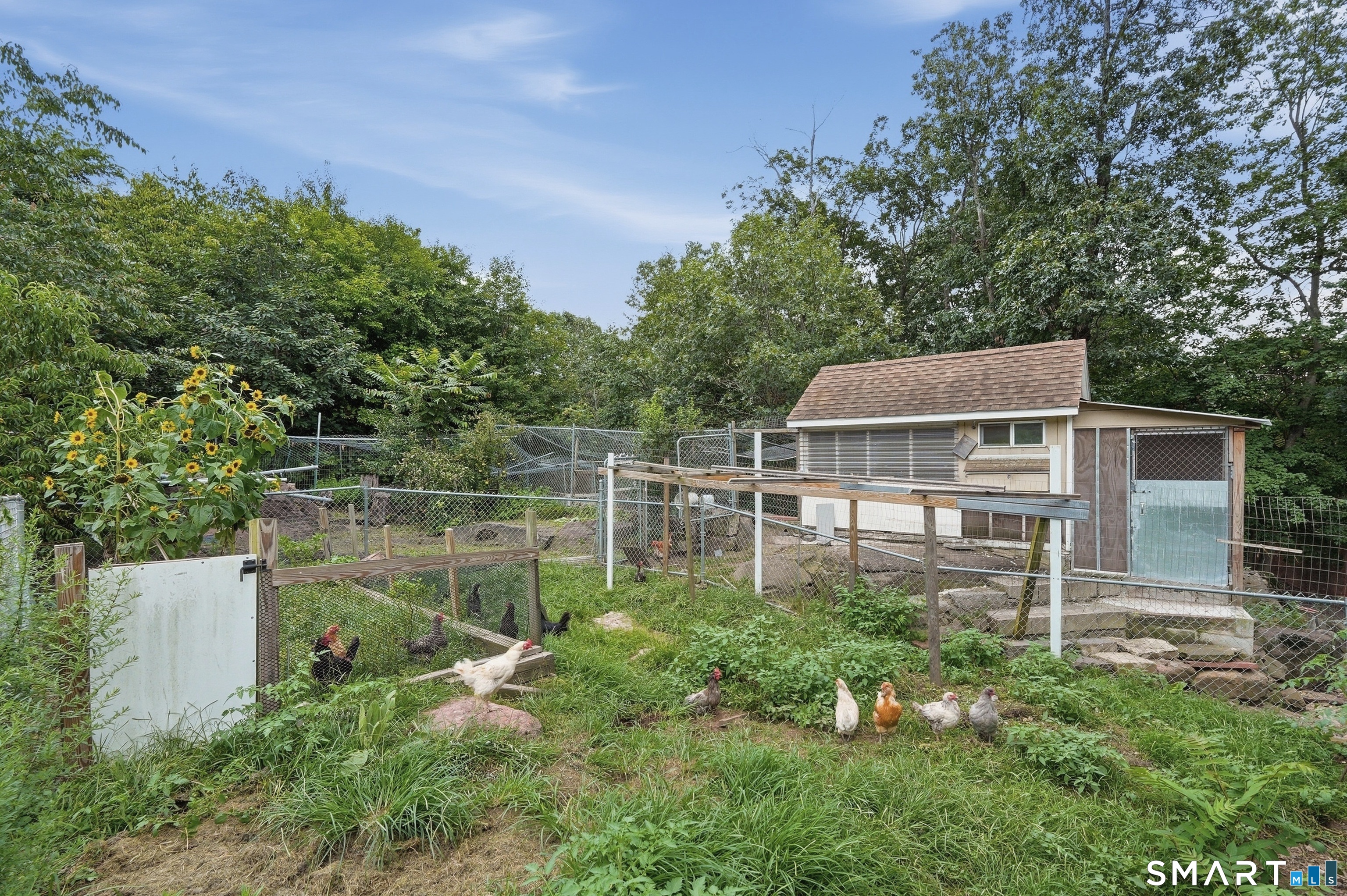 203 Russell Street New Haven CT 06513