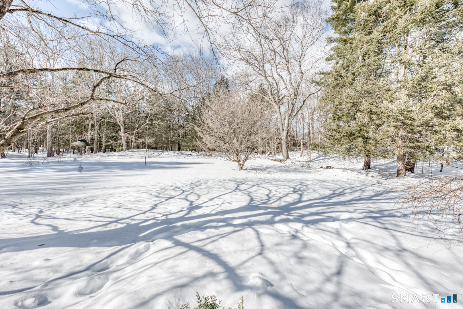 22 Cisar Road Willington CT 06279