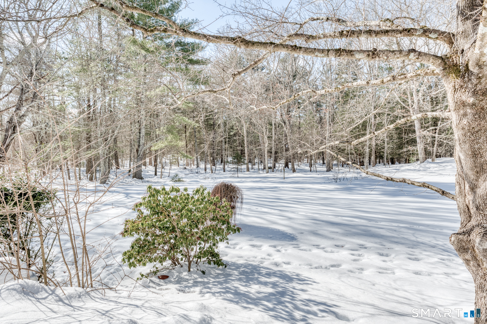 22 Cisar Road Willington CT 06279