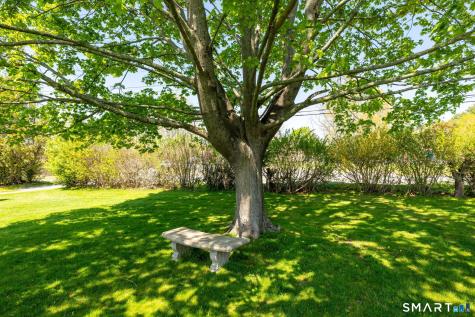 Wolcott CT 06716
