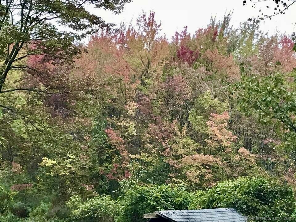 9 Birch Road Danbury CT 06811