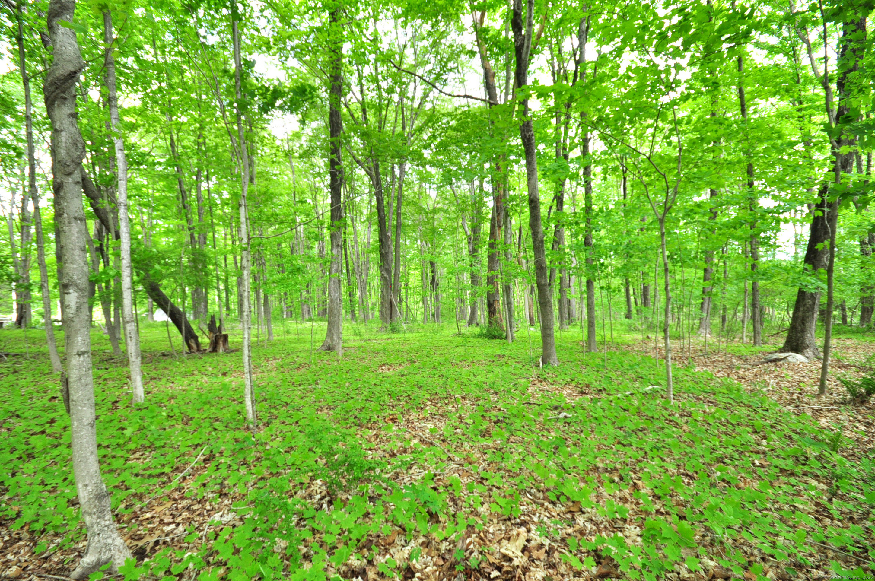 30 Chestnut Hill Road Killingworth CT 06419