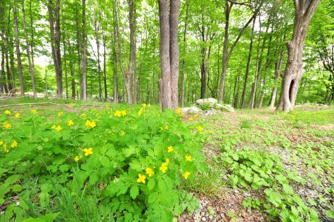 30 Chestnut Hill Road Killingworth CT 06419