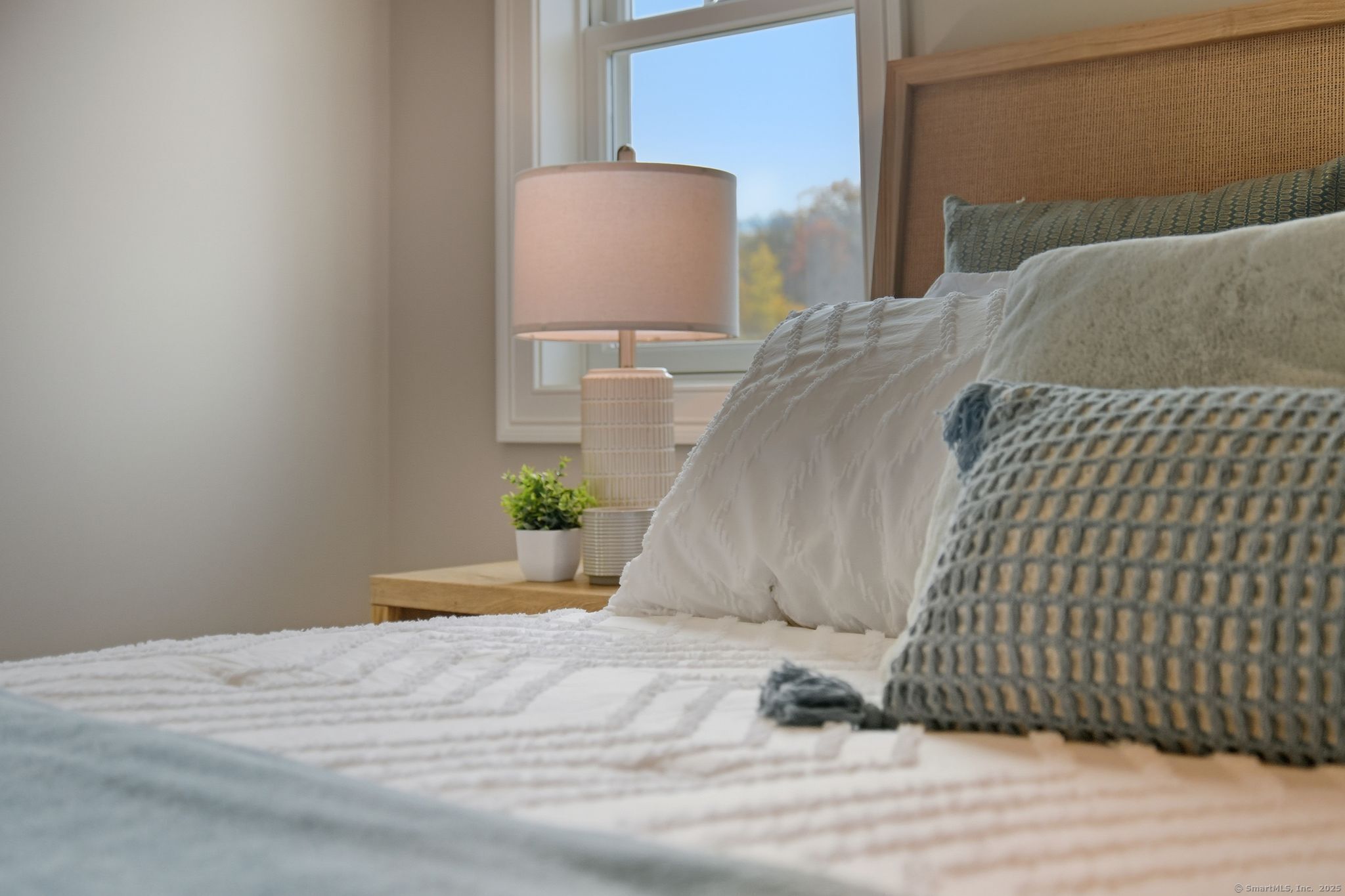 6 Fiddlehead Place Suffield CT 06078