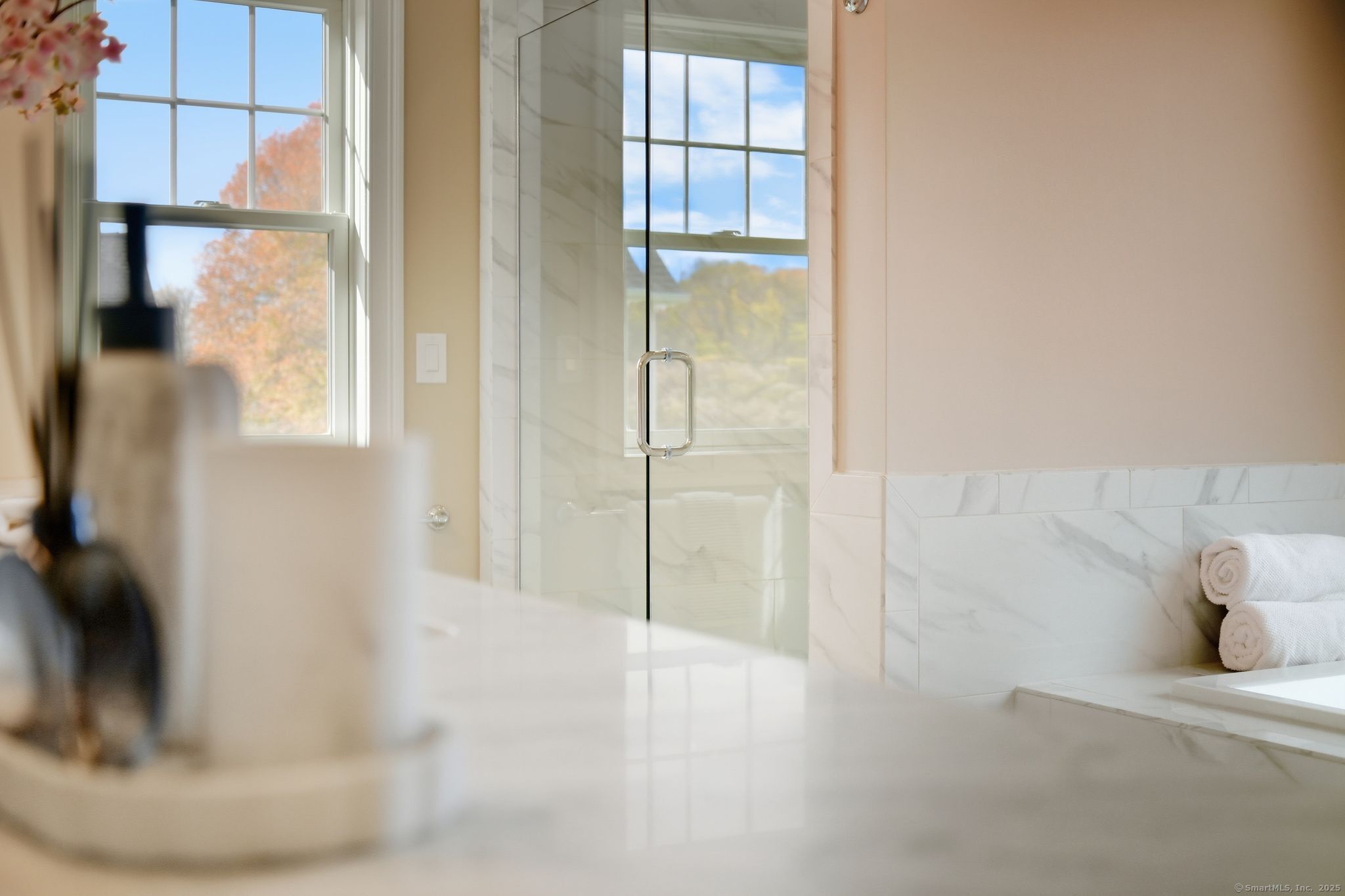 6 Fiddlehead Place Suffield CT 06078