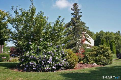 47 Spice Hill Drive East Hampton CT 06424