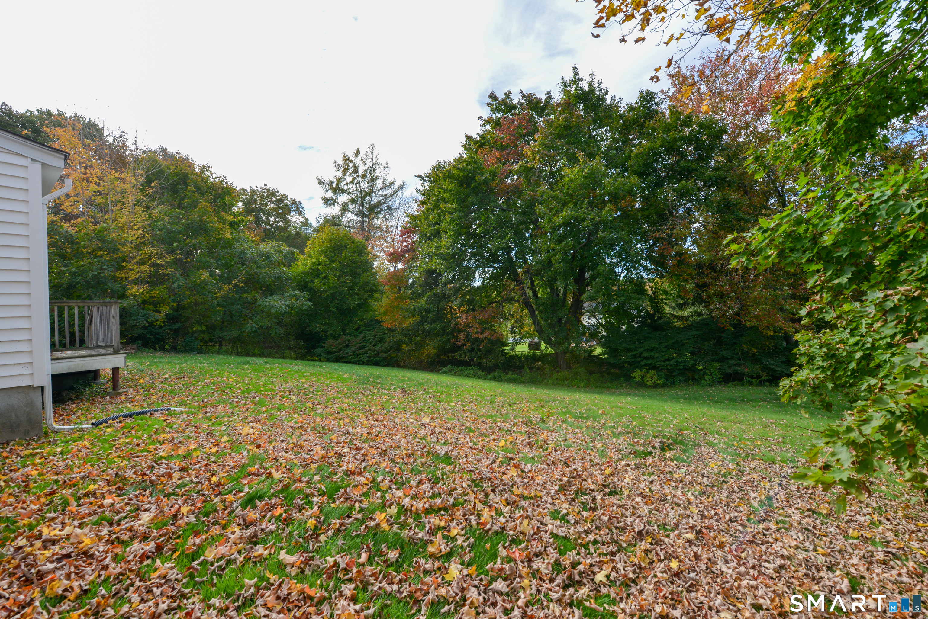 155 Nichols Avenue Shelton CT 06484